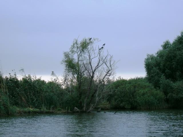 Doar ... NATURA  - 2 - gedc0179.JPG